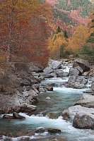 Rio Ara herbstlich Bujaruelo T