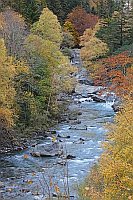 Rio Ara im Bujaruelo Tal