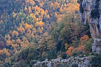 Felsnische Escuain Tal Herbstl