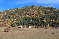 Ordesa Weide Hang mit Baeumen