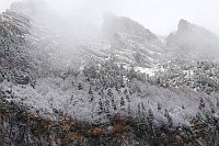 Pineta Tal Berg Baeume Raureif