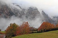 Pineta Tal Nebel Wildkirschen