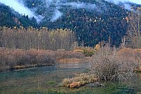 Pineta Tal Rio Cinca