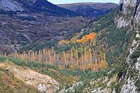 Gebirgstal Weiden im Herbst