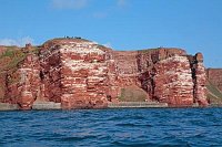 Helgoland Vogelfelsen Fotograf