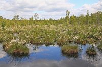 Moor Bulten Wolkenhimmel