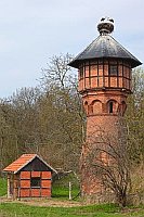 Weissstorch Horst Wasserturm