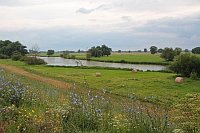 Sommerwiese bei Ruehstaedt