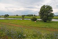 Wiese Regenwolken Ruehstaedt