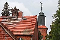 Ruehstaedt Kirchturm Stoerche