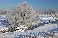 Weide im Winter an der Aue