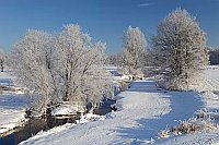 Winterlandschaft an der Aue