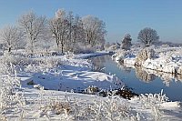 Winter an der Aue