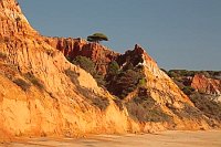 Algarve Felsen im Licht