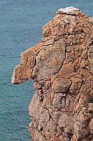 Felsenkopf Hakennase