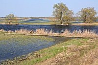 Havel Hochwasser bei Strohdehn
