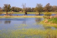 Havelwiesen ueberschwemmt