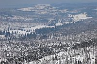 Bayerischer Wald am Lusen