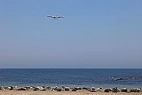 Kegelrobben Duene Flugzeug