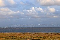 Salzwiesen Vogelschwarm Wolken