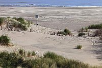 Duenenlandschaft Strand Wanger
