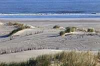 Duenen Strand Wangerooge