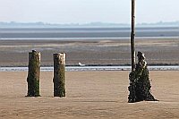 Strandwaechter Wangerooge