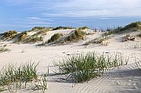 Duenenlandschaft Wangerooge