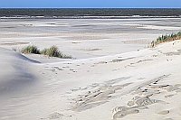 Duenen verwehter Sand Nordsee