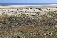 Wangerooge Duenen im Osten