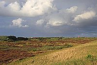 Wangerooge Heide Wolkenhimmel