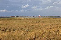 Wangerooge Insel Duenengraeser