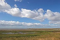 Wangerooge Lagune Salzwiesen