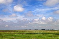 Leybucht Deichvorland