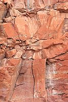 Helgoland Baum Felsrelief