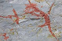 Helgoland Felsstrukturen