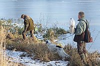 Falkner mit Beitzhabicht