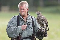 Habicht und Falkner