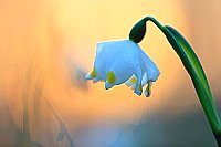 Maerzenbecher warmes Licht