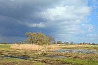 Havelwiesen dunkler Himmel