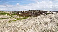 Sylt Duenen Heide Landschaft