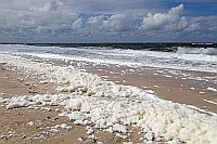 Sylt starker Wind Schaum