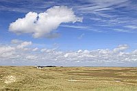 Sylt Westfeuer blauer Himmel