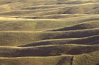 Extremadura La Serena Struktur