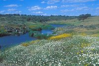 Extremadura Rio Tozo