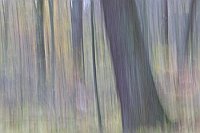 Laubbaeume pastellig