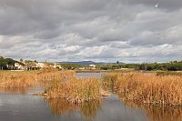 Algarve Feuchtgebiet Quinta do