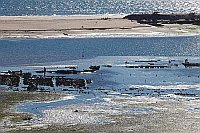 Algarve Cacela mit Muschelsuch