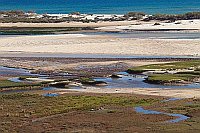 Algarve Rio Formosa bei Cacela