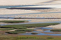 Algarve Rio Formosa grafisch